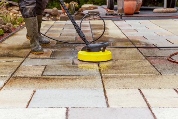Best Animal Enclosure Cleaning  in Vega, TX